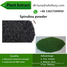99% Use in Spirulina Powder Health Food Spirulina